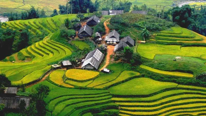 Day Tour | Lao Chai & Ta Van Trek with Batik Painting Experience from Sapa